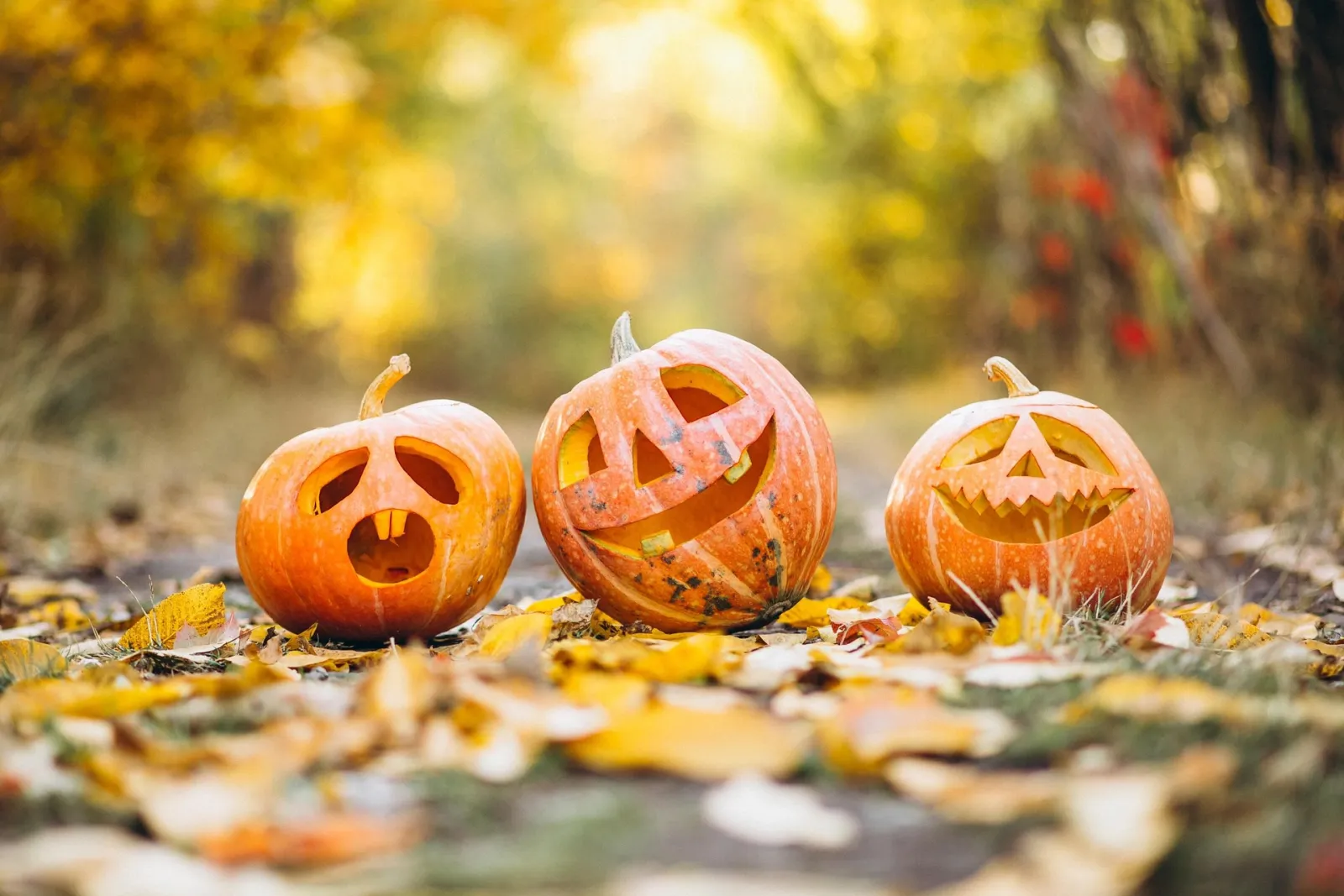Halloween: The Magic of the World's Spookiest Night